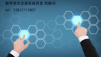 Q幣的分類與數(shù)字技術服務